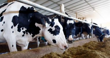 Stire din Economie : Deficit comercial, agricultură, energie. INFO economic