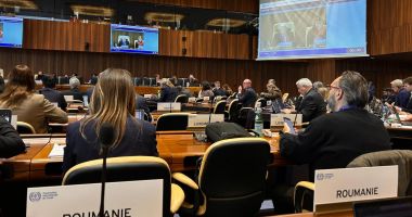 Stire din Economie : Prevenirea violenţei şi hărţuirii la bordul navelor! ANR susţine drepturile navigatorilor la conferinţa de la Geneva