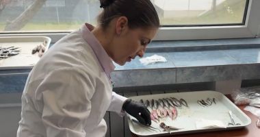 Stire din Social : Studii asupra peștilor din Marea Neagră. Ce au descoperit cercetătorii