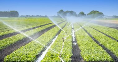 Stire din Economie : Fonduri de investiţii, agricultură, deficit bugetar. INFO economic