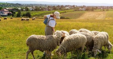 Stire din Economie : Piaţa de bunuri de larg consum, agricultură, cost orar al forţei de muncă. INFO economic