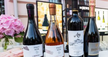 Stire din Economie : Contabilitate, viticultură, finanţe. INFO economic