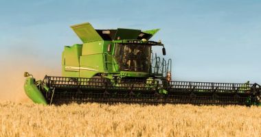 Stire din Economie : Preţuri de mizerie pe piaţa agricolă. „Şmecherii de la stat sunt importanţi, nu producătorii!”