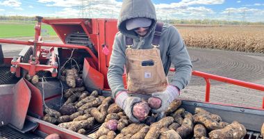 Stire din Economie : Banking, agricultură, inflaţie. INFO economic