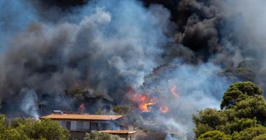 Stire din Actualitate : Pompierii greci luptă, a doua zi la rând, împotriva incendiilor de pădure devastatoare