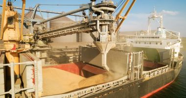 Stire din Economie : Energie, export de cereale, industria hârtiei. INFO economic