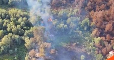 Stire din Eveniment : Incendiu de proporții în Delta Dunării! A intervenit un elicopter Black Hawk