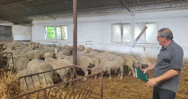 Stire din Economie : Muncă grea, salarii mici în agricultură şi cercetare. „Nu mai vine nimeni să lucreze cu animalele!”