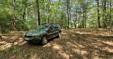 Stire din Actualitate : Tăieri de posturi la Garda de Mediu și Garda Forestieră, condiționate de aderarea la OCDE