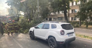 Stire din Eveniment : Copac prăbușit în zona Gării Constanța. Intervenție a pompierilor și polițiștilor
