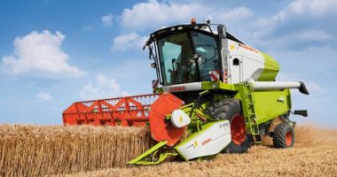 Stire din Economie : Construcţii, agricultură, securitate cibernetică. INFO economic