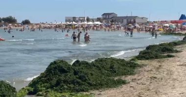 Stire din Social : Vacanță printre alge! Plaja din Saturn, sufocată de vegetație marină