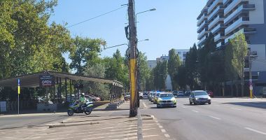 Filtru rutier, în stațiunea Mamaia. Mașinile, controlate de echipajul canin - 2