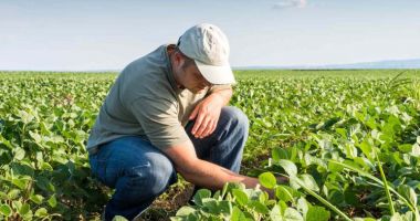 Stire din Economie : Finanţe, agricultură, turism. INFO economic
