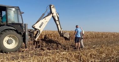 Jale în agricultura constănţeană! „E secetă, pe câmp nici ambrozia nu mai creşte, iar preţurile pentru recoltă sunt ridicole” - 2