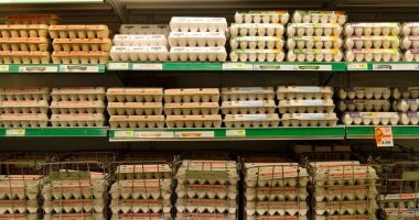 Stire din Actualitate : Ouă bio, comercializate în supermarketuri, retrase de la vânzare din cauza unui risc de Salmonella