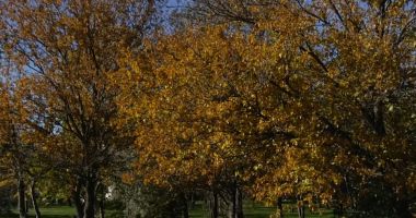 Stire din Social : Adio, vară! Sezonul rece, marcat de echinocțiul de toamnă