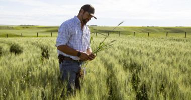 Stire din Economie : Bursă, agricultură, banking. INFO economic