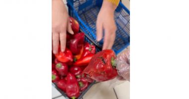 Stire din Social : Magazin Alfa Beta din Constanța, închis de comisarii CJPC. Iată ce nereguli grave au descoperit