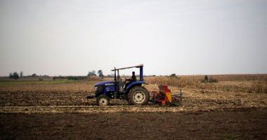 Stire din Economie : Agricultorii constănţeni invocă Divinitatea. „Până acum ne-am rugat să plouă, acum să mai stea!”