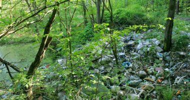 Stire din Eveniment : Amendă de 10.000 de lei pentru un bărbat care a aruncat deșeuri în pădure. Iată ce l-a dat de gol
