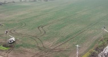 Stire din Actualitate : Rute de migrație mai sigure pentru păsări, în Delta Dunării