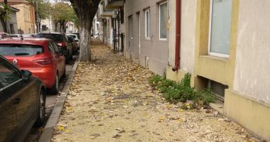 Stire din Social : O reclamație de mediu a blocat lucrările de pe strada General Manu din Constanța
