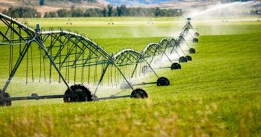 Stire din Economie : Pe încasat! Milioane de lei în conturile unor companii constănțene care fac afaceri cu statul român