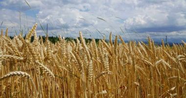 Stire din Economie : Cadastru, agricultură, datorie guvernamentală. INFO economic