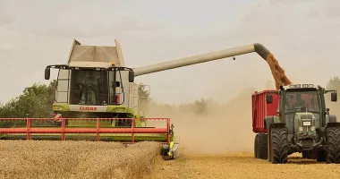 Stire din Economie : Fermierii români pot accesa peste 151 de milioane de euro. Când începe depunerea proiectelor