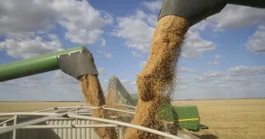Stire din Economie : Fermierii constănțeni, în pragul disperării. „Va fi jale pe piață, totul este în defavoarea noastră!“