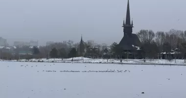 Stire din Social : Gerul a pus stăpânire pe Constanța. Lacul Tăbăcăriei a înghețat complet