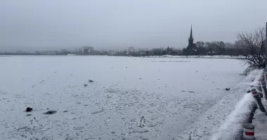 Gerul a pus stăpânire pe Constanța. Lacul Tăbăcăriei a înghețat complet - 2