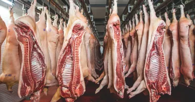 Stire din Economie : Bursă, producție de carne, banking. INFO economic