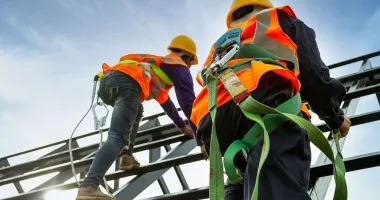 Stire din Economie : Agricultură, construcții, infrastructură rutieră. INFO economic