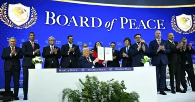 Stire din Actualitate : Consiliul pentru Pace: UE este îngrijorată de concentrarea puterilor în mâinile lui Donald Trump