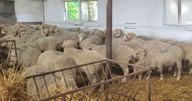 Stire din Economie : Energie, agricultură, piața spațiilor industriale. INFO economic