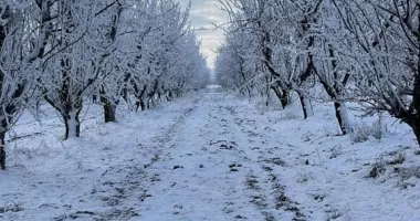 Stire din Economie : Tranzacții, agricultură, energie. INFO economic