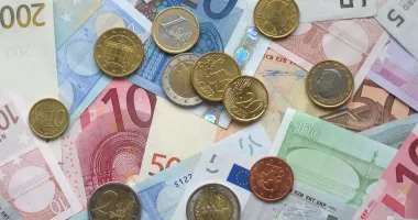 Stire din Economie : Banking: Leul își umflă mușchii în fața euro, a dolarului și a francului elvețian