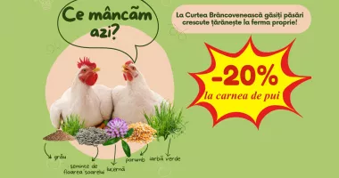 Stire din Social : De ce să tratezi o boală când o poți preveni?