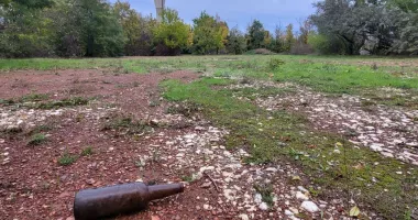 Stire din Sport : DJST caută soluții pentru reintegrarea în circuit a bazelor sportive „Triunghi“ și „Badea Cârțan”