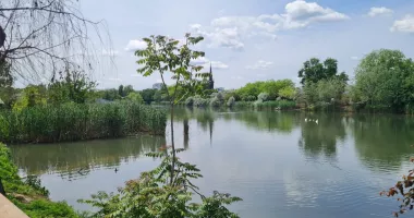 Delfinariul Constanța, în incertitudine înainte de vară. Se caută soluții pentru reluarea spectacolelor - 2