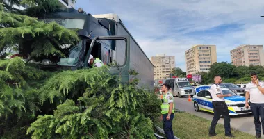 Primele informații oficiale de la IPJ Constanța despre accidentul de la Cireșica. Ce spun autoritățile