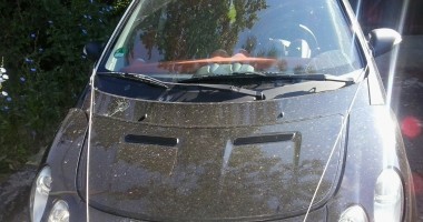 Autoturism Smart furat din Germania, găsit la Negru Vodă - 2