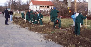 Proiect de lege: deținuții, OBLIGAȚI SĂ MUNCEASCĂ!