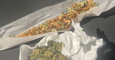 Substanţe interzise, depistate de jandarmii constănţeni