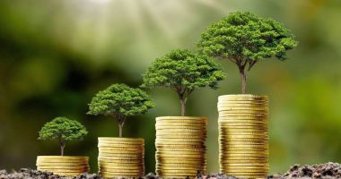 Stire din Economie : APIA primeşte cereri de plată aferente anului 2024 pentru schema referitoare la prima împădurire