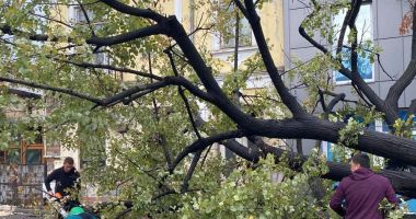 Stire din Economie : Asigurări: Peste 230 de daune avizate după furtunile de săptămâna trecută, din zona Dobrogei