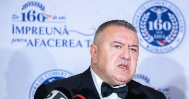 Stire din Economie : Mihai Daraban, despre decorarea CCIR: „Este recunoaşterea eforturilor sistemului cameral pentru dezvoltarea economică durabilă”