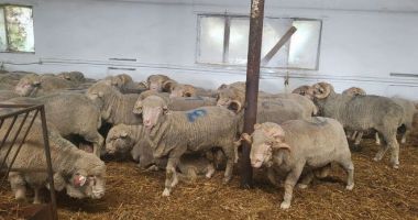 Stire din Economie : Energie, agricultură, banking. INFO economic